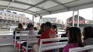 BayWatch Dolphin tour @Galveston beach