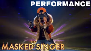 Rottweiler sings “Castle On The Hill” by Ed Sheeran | The Masked Singer | Season 2
