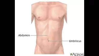 8 Examination of the Kidneys and Aorta (clinical examination)