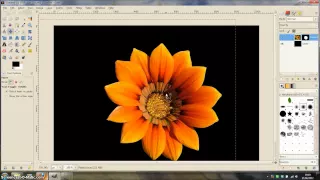 GIMP Tutorial - Using the paths tool to cut around an image