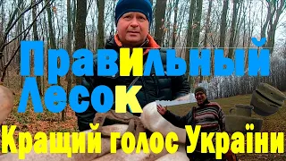 Зашли в правильный лесок ! Коп в Лесу зимой !