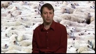 Allegiance to The Welsh | David Mitchell's SoapBox