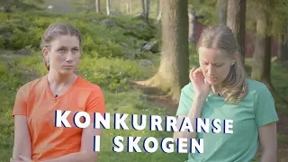 Konkurranse i skogen – SISTE episode!