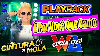 PLAYBACK |  E POR VOCE QUE CANTO | FORRO CINTURADE MOLA