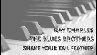 Blues Brothers  - Ray Charles - Shake Your Tail Feather