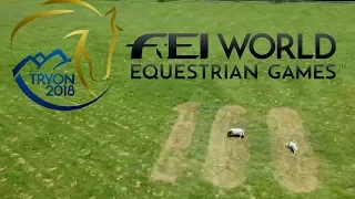 100 days to go! - FEI World Equestrian Games 2018 - Tryon