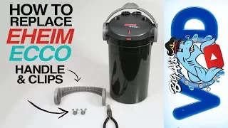 How To Replace Your Eheim Ecco Handle & Clips | BigAlsPets.com