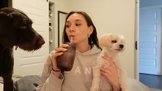 an actually realistic day as a dog mom | vlog