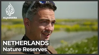 New islands built in Netherlands as nature reserves