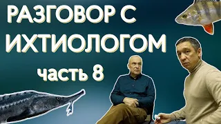 Разговор с ихтиологом. Белковский Николай Михайлович. Отвечаем на вопросы подписчиков.