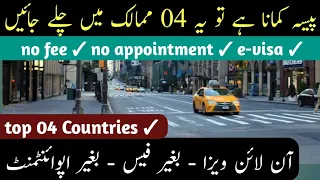 Top 04 Best Countries For Earn Money || Every Visa || Hindi/Urdu ||