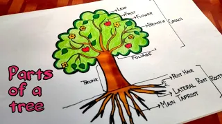 parts of tree drawing|parts of a tree drawing|tree parts