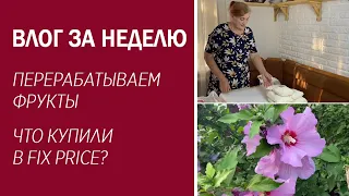 ВЛОГ ЗА НЕДЕЛЮ: ПЕРЕРАБАТЫВАЕМ ФРУКТЫ / Покупки из fix price / Собираем урожай / Загородная жизнь