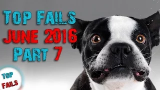 Лучшие приколы Июнь 2016 Часть 7 ||Top Fails||