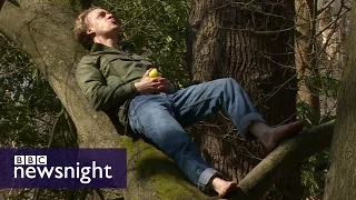Urban tree climbing - BBC Newsnight
