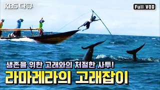 세계 유일! 합법적인 전통식 고래잡이로 생계를 꾸려가는 사람들 | “라마레라의 고래잡이” (KBS 090610 방송)