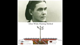 ELLEN WHITE TREE PLANTING METHOD