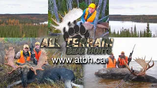 Moose Hunting | All Terrain Bear Hunts | Manitoba Canada