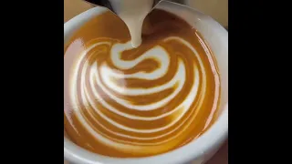 Latte Art ▪︎ Slow Leaf