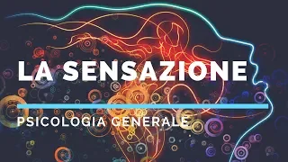 Che cos'è la sensazione? (psicologia generale)