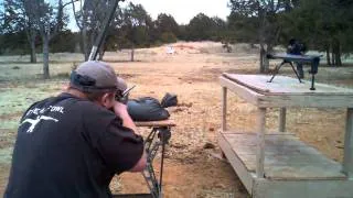 Tannerite and Hogs