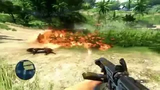 Far Cry 3 Stealth Walkthrough -Kick The Hornet's Nest (Weed Burinig)