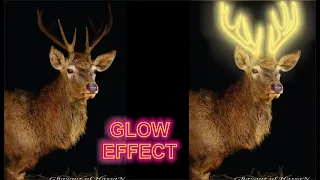 Glow Effect  CorelDraw Tutorial -Glowing Effects