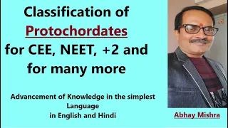 Classification of protochordates for NEET, CEE in english and Hindi By Abhay Sir in simple Language