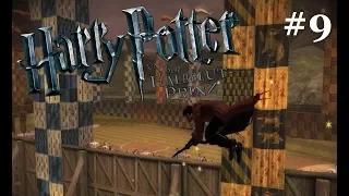 Dagis Quidditch Trainingsplan | Harry Potter und der Halbblutprinz #9