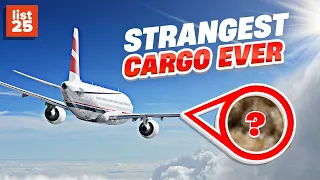 25 Strangest Cargo Ever Carried By Plane, Train or Automobile