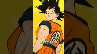 What If Goku was just a Normal Human Being?!