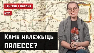 Кому принадлежит ПОЛЕСЬЕ – прародина восточных славян? (ENG sub) Трызуб і Пагоня