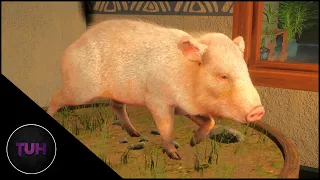 Albino Collared Peccary With The Recurve!!! | theHunter: Call of the Wild