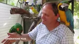 Immersion chez un passionné d'oiseaux exotiques