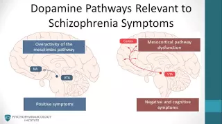 Psychopharmacology: Antipsychotics & The Dopamine Hypothesis