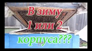 ПЧЕЛОСЕМЬИ В РУТАХ ПЕРЕД ЗИМОВКОЙ, ПРОСТО СУПЕР!!! Расположение клуба в корпусах. Beekeeping🔥