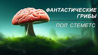 Фильм — Фантастические Грибы, Пол Стеметс