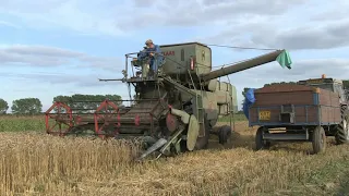 CLAAS MATADOR GIANT HARVESTING WHEAT