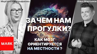 Зачем нам прогулки? Как мозг ориентируется на местности I Илья Мартынов. Маргарита Митрофанова