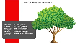 ТЕМА 19. Іменник. Відмінки іменника. Відміни іменника. Підготовка до ЗНО з української мови.