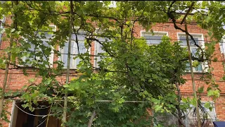 Приехали в Сенаки. Мой дом 🏡