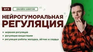 Нейрогуморальная регуляция | ЕГЭ Биология | Даниил Дарвин