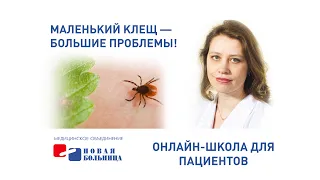 Маленький клещ - большие проблемы! Онлайн-школа для пациентов, посвященная сезону клещевых инфекций