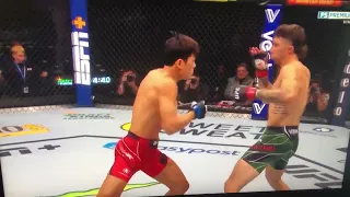 UFC 281 Double KO! Choi vs Trizano