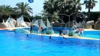 Шоу дельфинов (часть 2) Marineland, Antibes.MOV