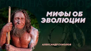 Мифы об эволюции. Александр Соколов. Родина слонов №9