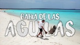 Bahia de las Aguilas | The Most beautiful beach in the World | Dominican Republic