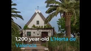 The resilience of Valencia’s L’Horta in times of COVID-19