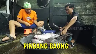 SI Gundul Masak Pindang Baung | JEJAK SI GUNDUL (28/12/23)