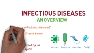 Infectious Diseases: A Beginner's Guide to the Basics